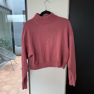 Wilfred Rose Turtleneck Sweater